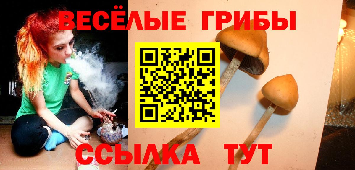 Псилоцибиновые грибы MAGIC MUSHROOMS  Вход с VPN  Дальнереченск  Псилоцибиновые грибы прущие грибы 