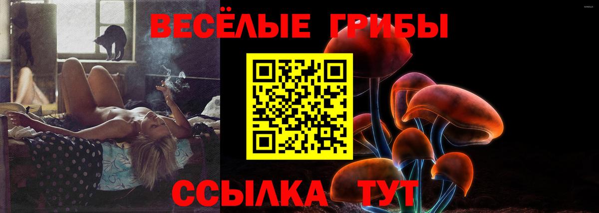 Галлюциногенные грибы прущие грибы Дальнереченск